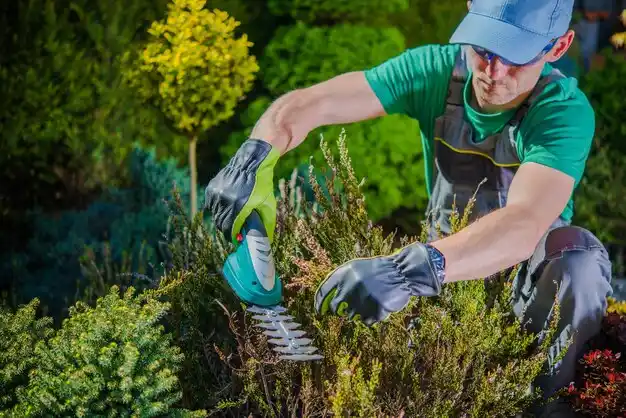 landscaping services Oberlin
